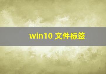 win10 文件标签